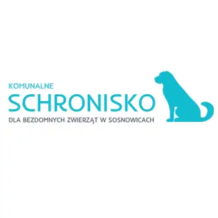 Niewidomy Dylan ze schroniska w Sosnowicach szuka domu pełnego cierpliwości