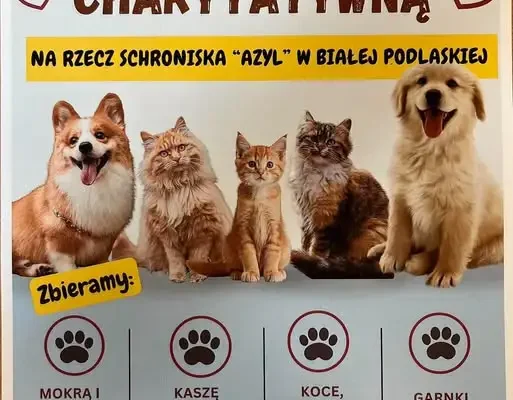 SP nr 3 w Parczewie organizuje zbiórkę charytatywną dla schroniska „Azyl” w Białej Podlaskiej