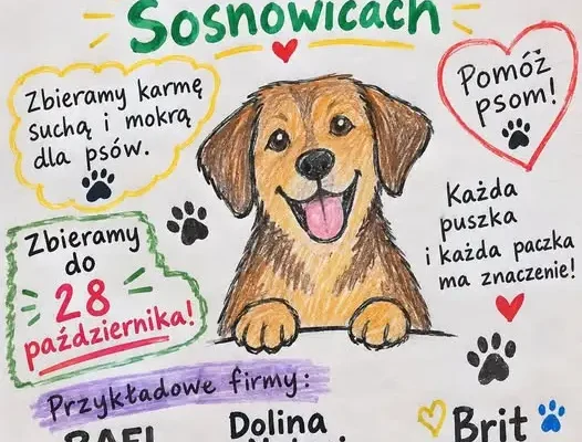 Trwa zbiórka karmy dla schroniska w Sosnowicach – do 28 października!