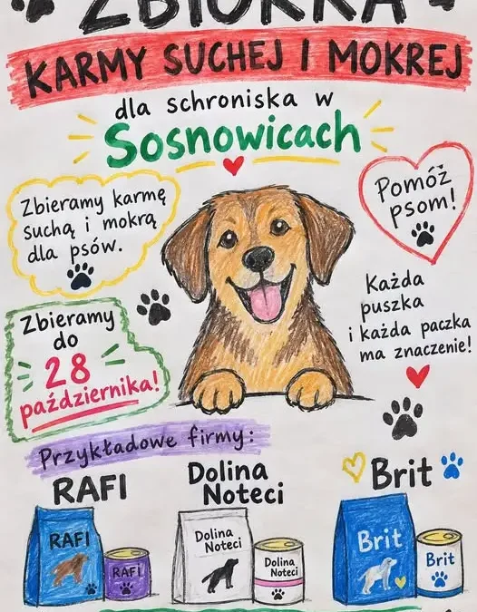 Trwa zbiórka karmy dla schroniska w Sosnowicach – do 28 października!